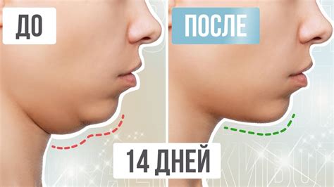 Основные знаки и позы при гладении подбородка