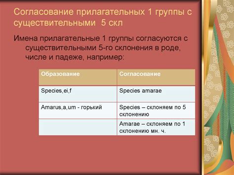 Основные правила согласования прилагательных с существительными в латинском языке