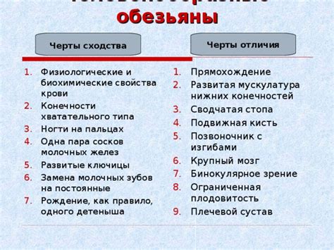 Основные черты дипломатичного человека: что это значит