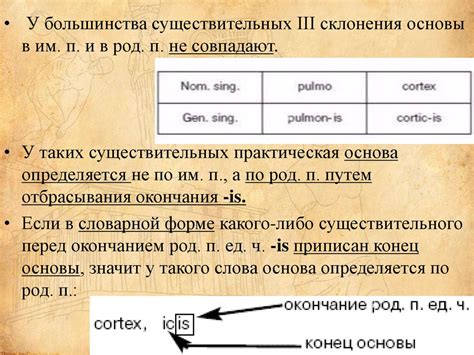 Особенности склонения иноязычных существительных