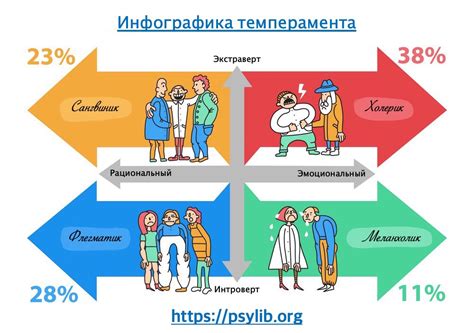 Отличие буки от других типов личности