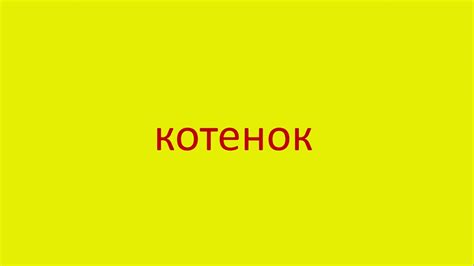 Парень мастерственно использует слово "котенок"