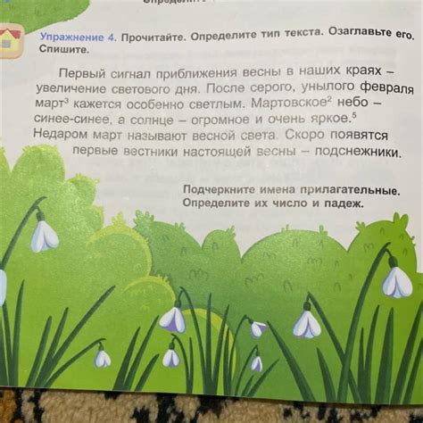 Первый сигнал и его значение