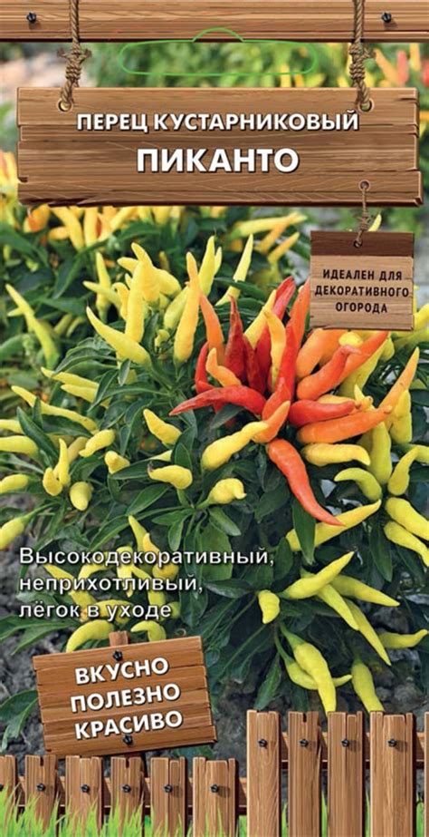 Пиканто в кулинарии