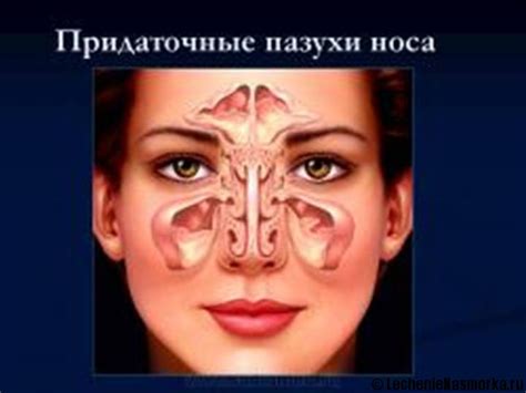 Пневматизация и слуховые проблемы