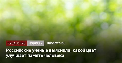 Покой и расслабление: зеленый цвет и его успокаивающий эффект