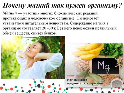 Польза Новитона для организма