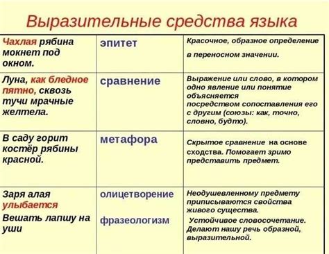 Понятие, особенности и примеры