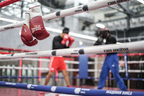 Популярность Мельцеровского бокса в мире и в России