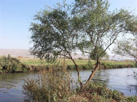 Почему отбой по каземату является важным элементом в службе охраны