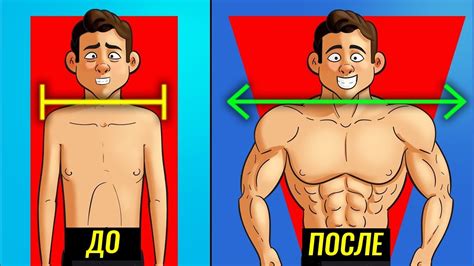 Почему широкие плечи считаются привлекательными