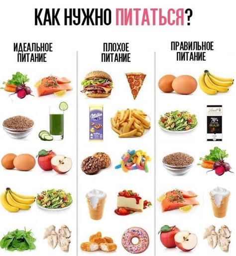 Правильное питание при порушке параня