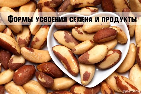 Преимущества хелатной формы селена перед другими