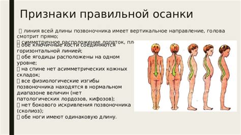 Признаки прилипших лопаток