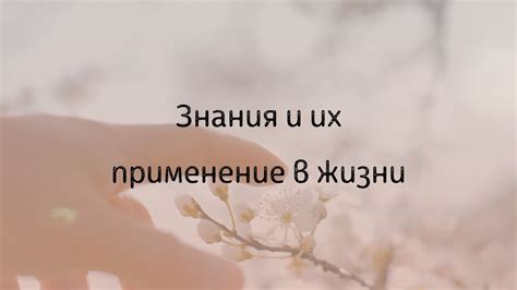 Применение в жизни