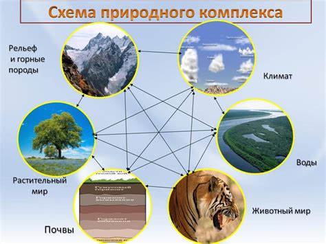 Примеры биологических процессов в природе