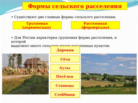 Примеры использования рассеянной формы расселения в разных областях