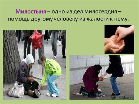 Примеры проявления человеколюбия в повседневной жизни