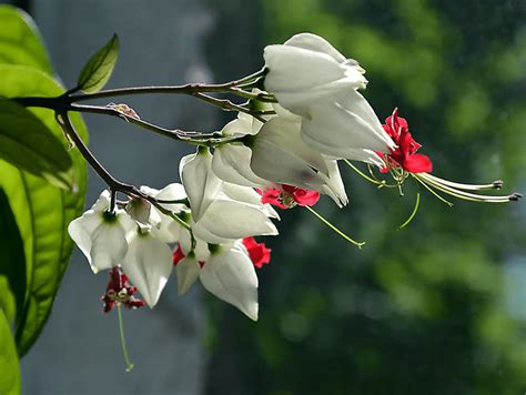 Приметы и суеверия, связанные с болями в животе