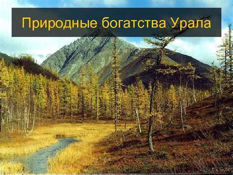 Природные богатства Сибири и Урала