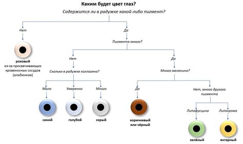 Притягательность зеленых глаз у девушек