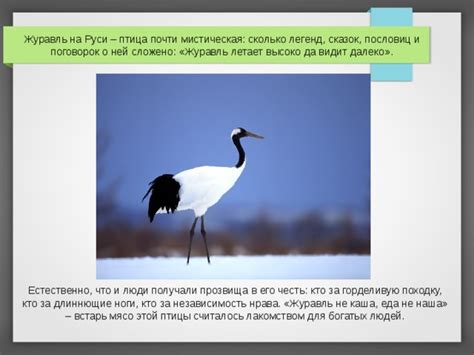 Прозвища на основе образа птицы