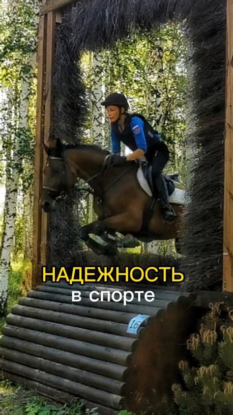 Происхождение понятия "тухлодыр" в отношении лошадей