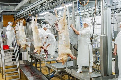 Промышленная переработка мяса