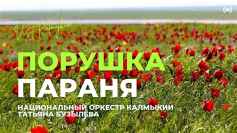 Профилактика порушки параня