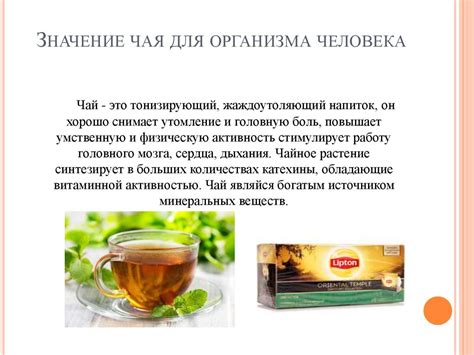 Психологическое значение чая для организма