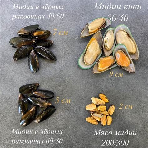 Размер мидий 200-300