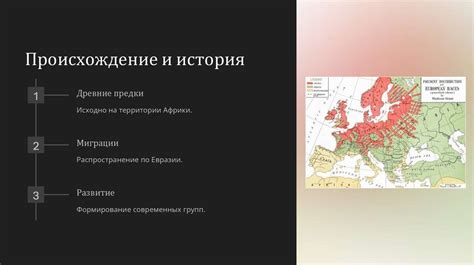 Раса европеоидная: историческое происхождение и географическое распространение