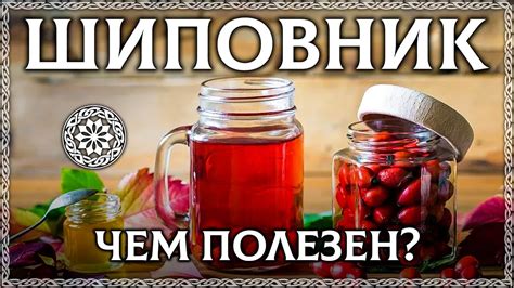 Расшифровка потери платка в античных поверьях и приметах