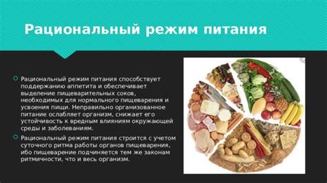 Рациональный режим питания и его влияние на общую физическую форму