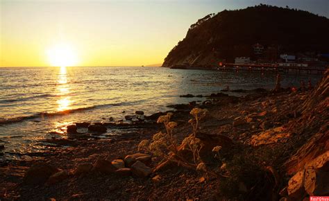 Реакция на приятные воспоминания