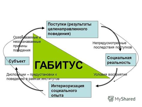 Результаты и последствия необузданного поведения
