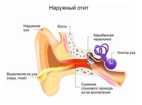 Рекомендации по пневматизации уха