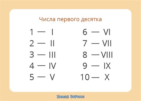 Римская цифра XXL: основное значение