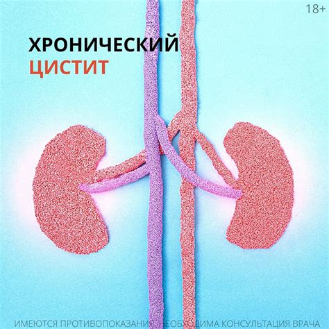 Роль гормонального фона в развитии цистита