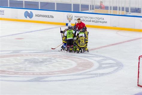 Роль хоккейной команды в спорте: важность и значение