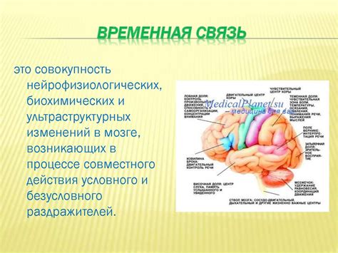 Связь ощущения пустоты с нейрофизиологическими процессами