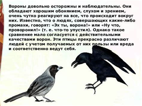 Связь с качествами птицы