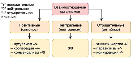 Симпатичность как оценочная характеристика взаимоотношений
