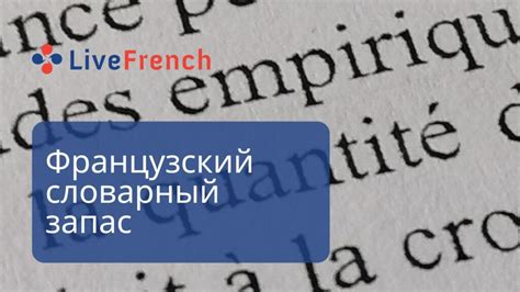 Словарный запас и грамматика