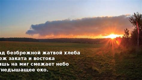 Смежает небо: основные понятия и области применения