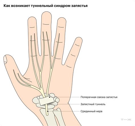Смысл ссоединения безымянного и среднего пальцев
