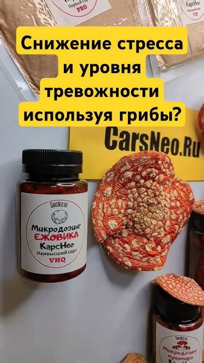 Снижение уровня стресса и тревожности: