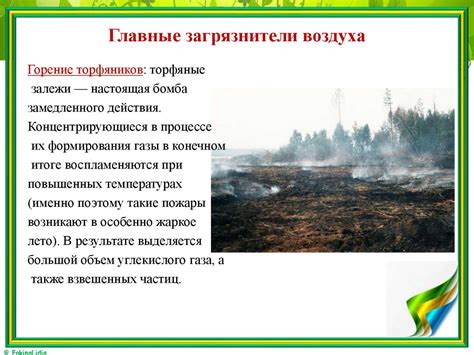 Соболь тортора: влияние окружающей среды