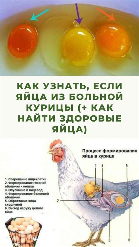 Способы предотвращения чернения яйца