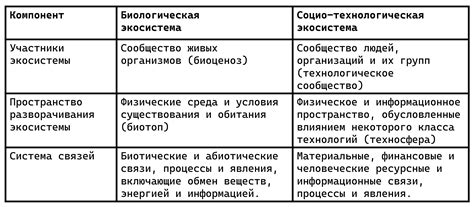 Технологическая система: определение и ключевые компоненты